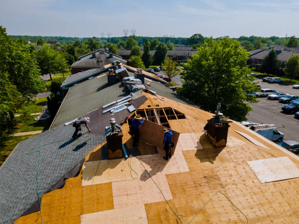 Quick and Trustworthy Emergency Roof Repair Services in Plainview, NE